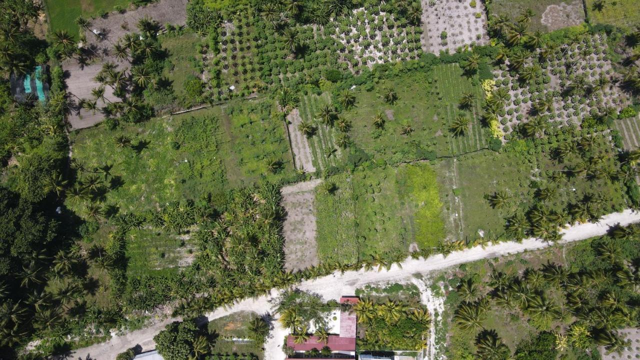 Thila Farm View Thoddoo Exterior foto